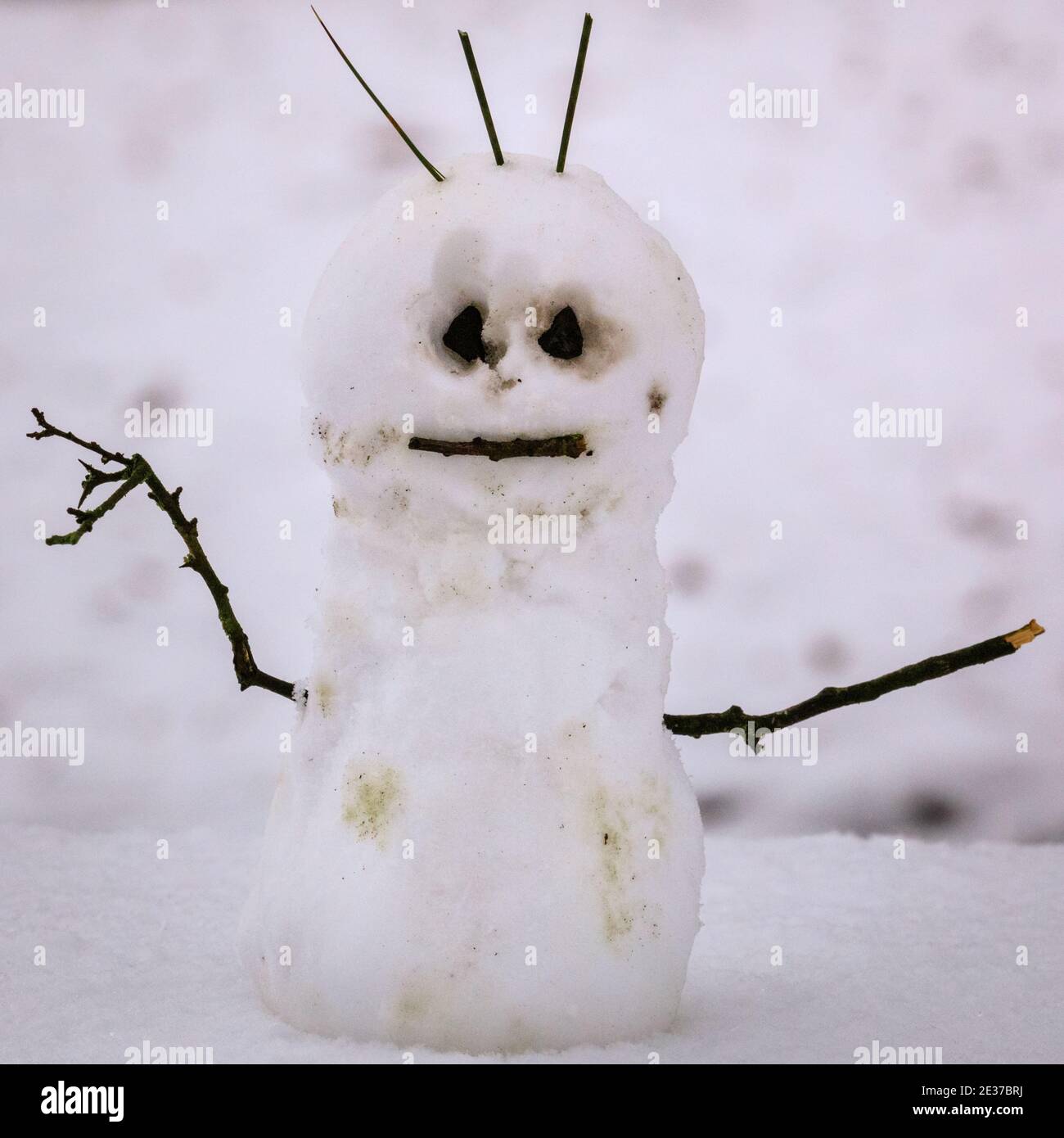 Duelmen, NRW, Germany. 17th Jan, 2021. A slightly angry looking miniature snowman built by walkers on a bench. A layer of fresh snow has fallen over night, transforming the Muensterland countryside into a winter wonderland for a few days. Credit: Imageplotter/Alamy Live News Stock Photo