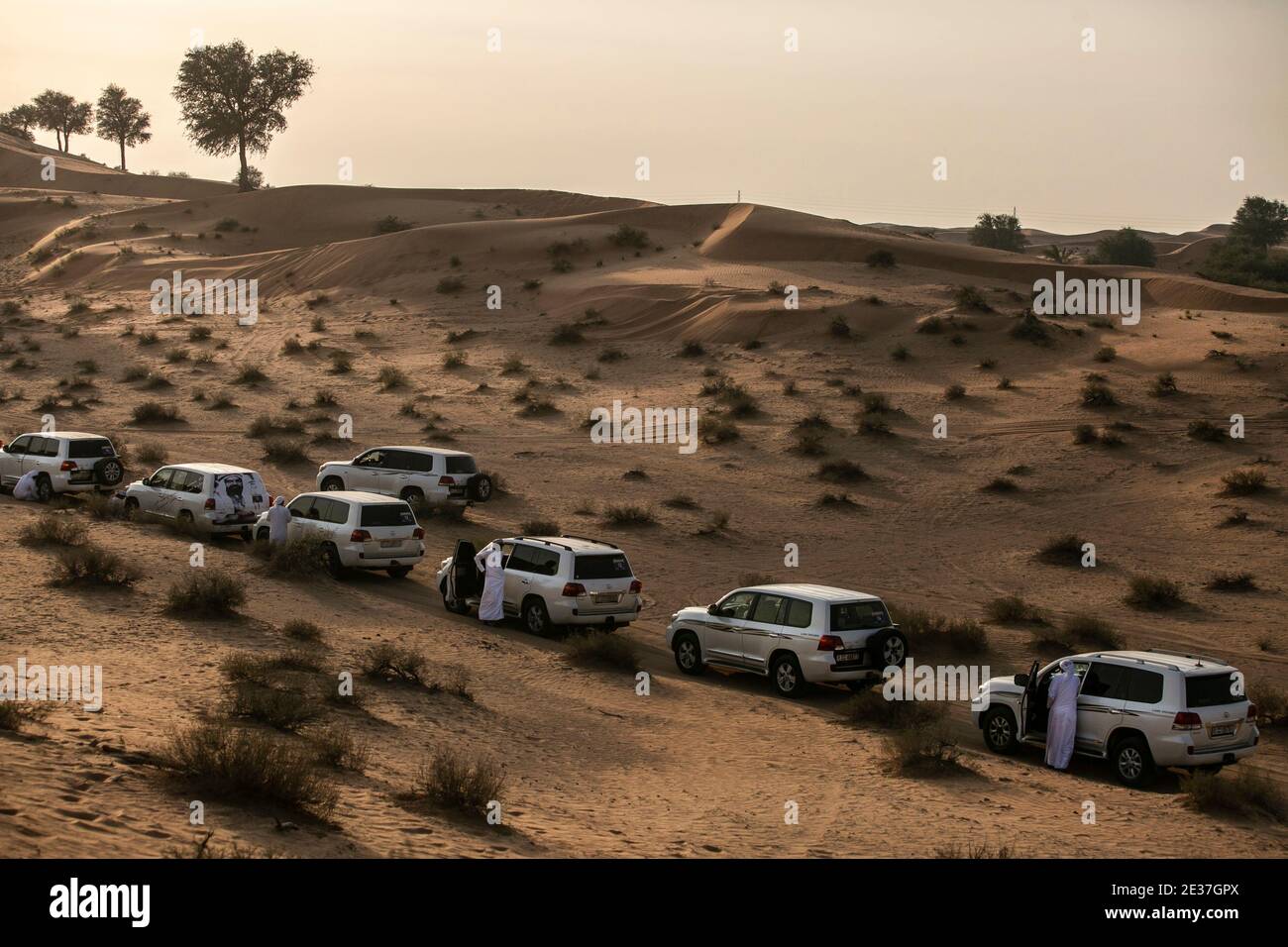 Tour in the Desert of Emirates near Dubai. Stock Photo