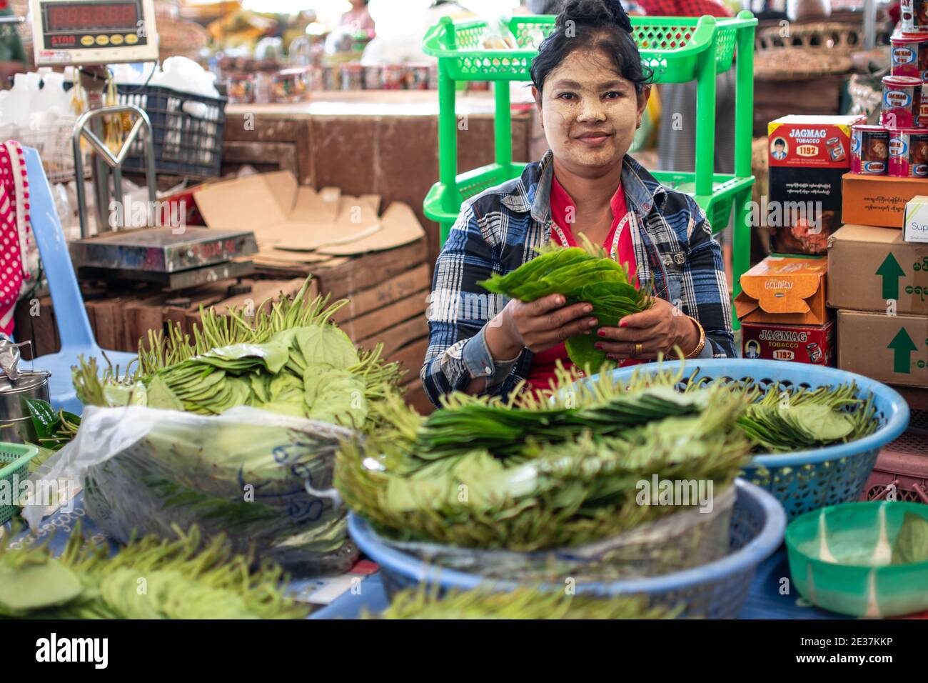 Portrait of a local Burmese woman with thanaka selling paan chewing tobacco with betel vine leaves and areca nut at a market near Yangon Stock Photo