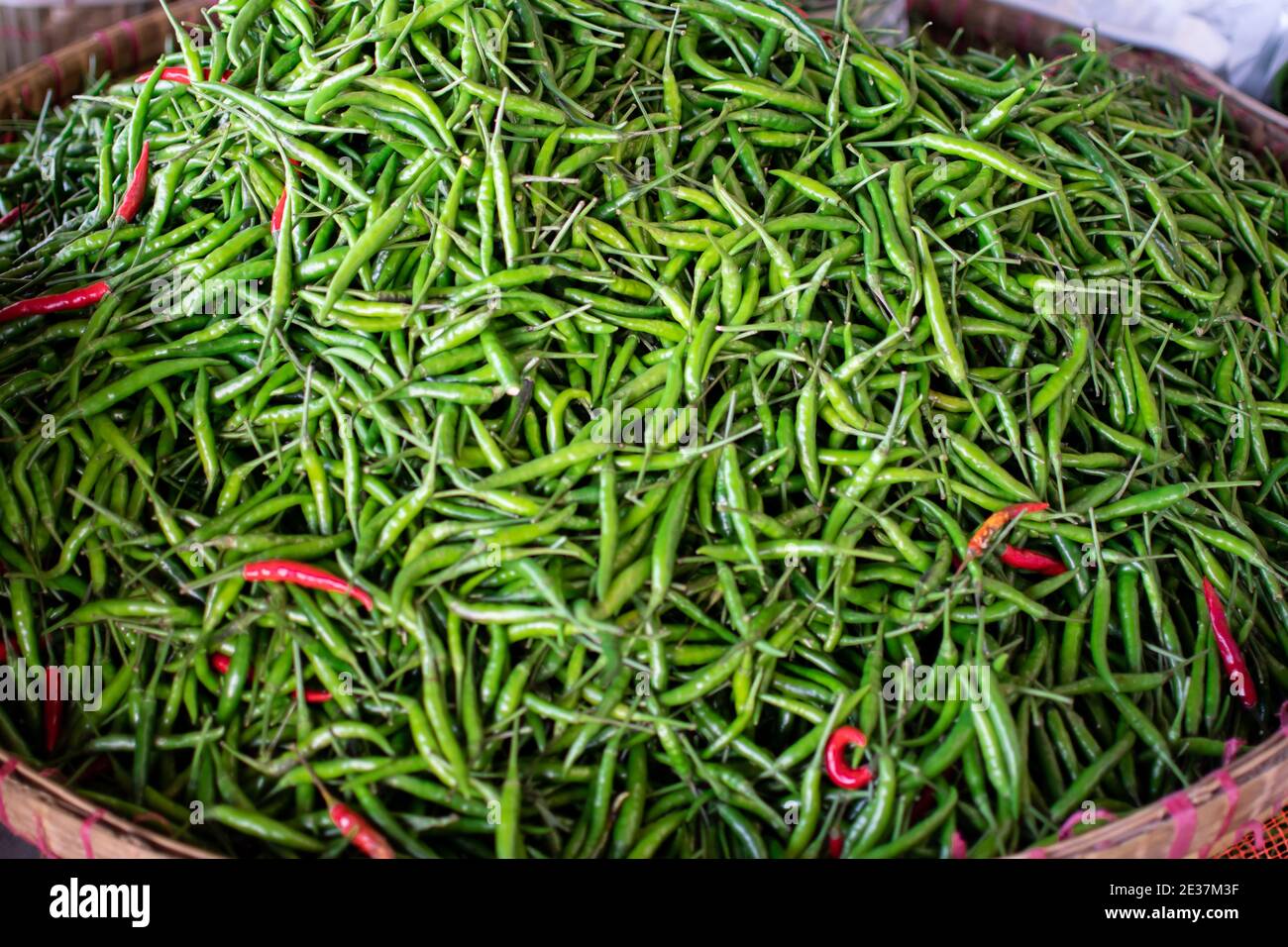 Green chilli wallpaper hi-res stock photography and images - Alamy
