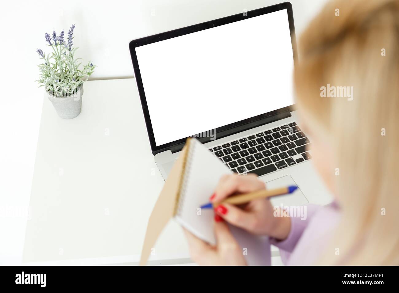 Rear view of business woman hands busy using laptop blank screen at ...