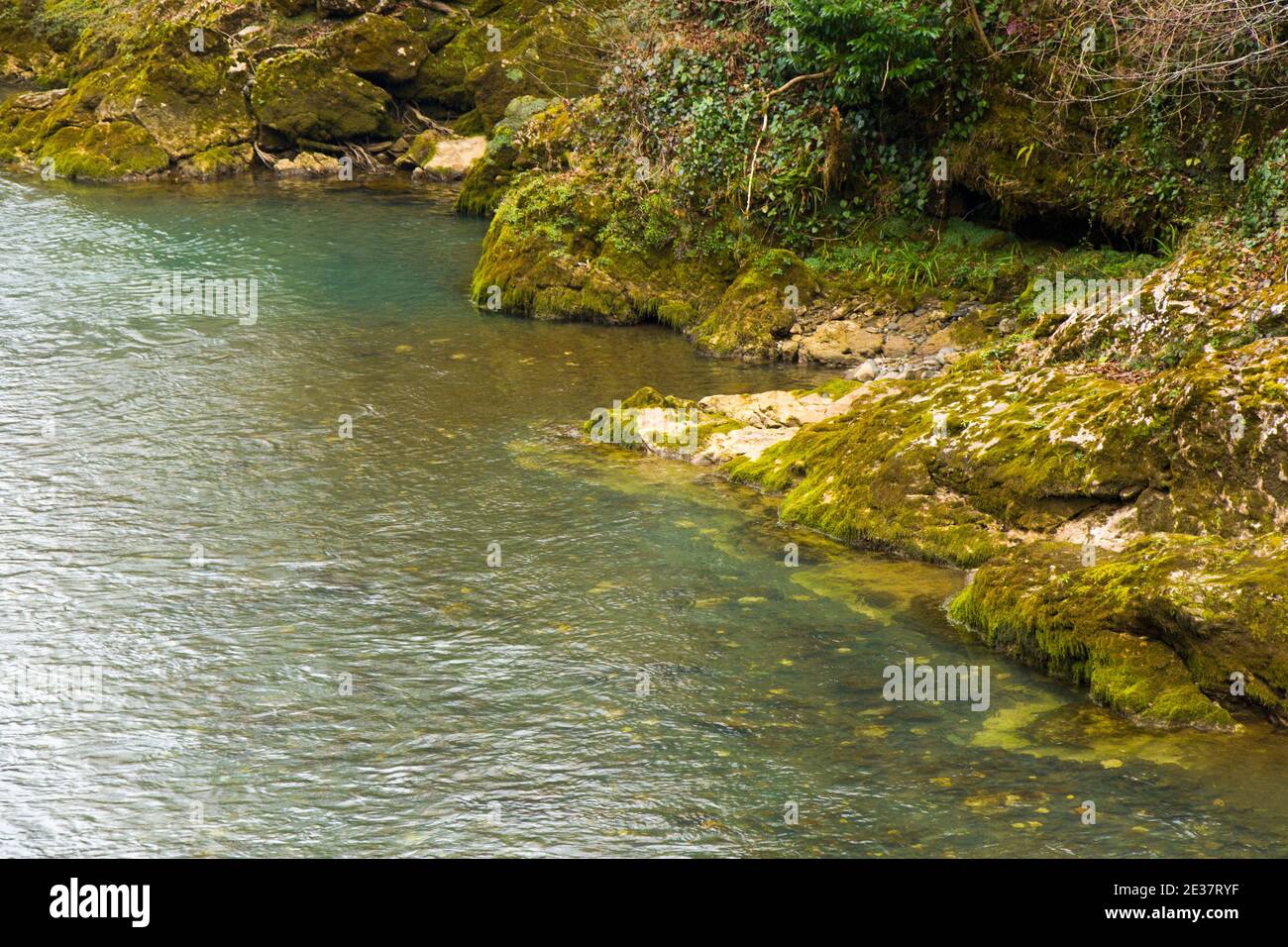 River landscape and view, daylight and outdoor, nature background in ...