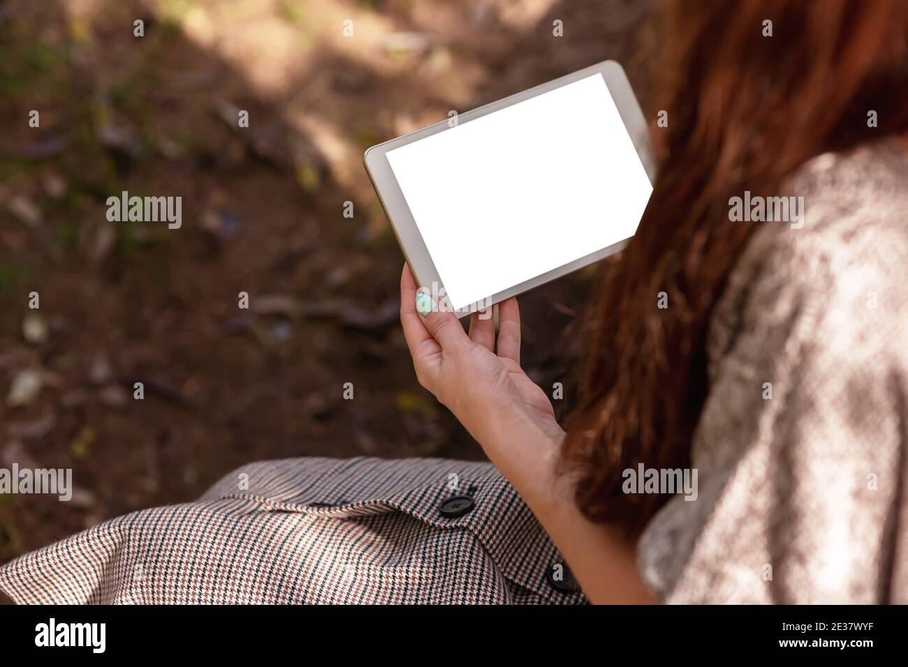 A woman with long brown hair, sitting in a knitted jumper in the park, holds a digital tablet. Stock Photo