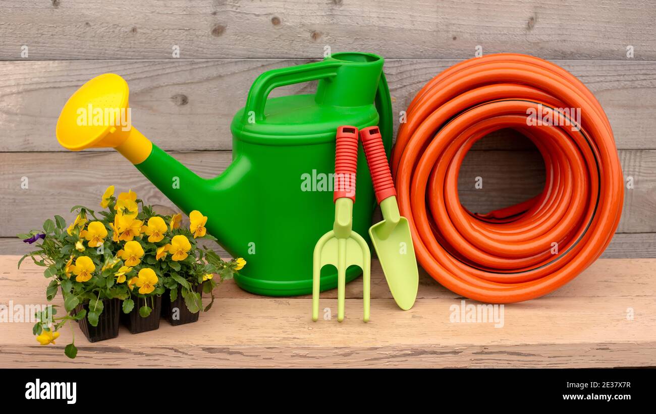 Green garden tools and watering hose stand on wooden background Stock Photo  - Alamy