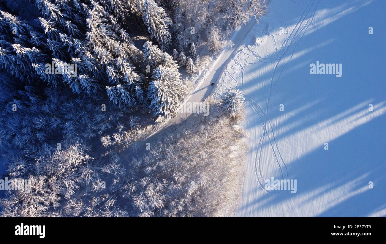 Aerial drone shot of snowy forest path in winter in Bavaria Stock Photo