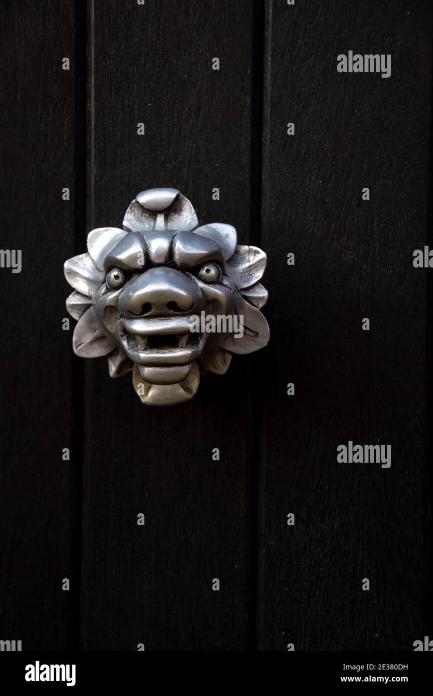 snarling dragon with large nose as a door knob or handle Stock Photo
