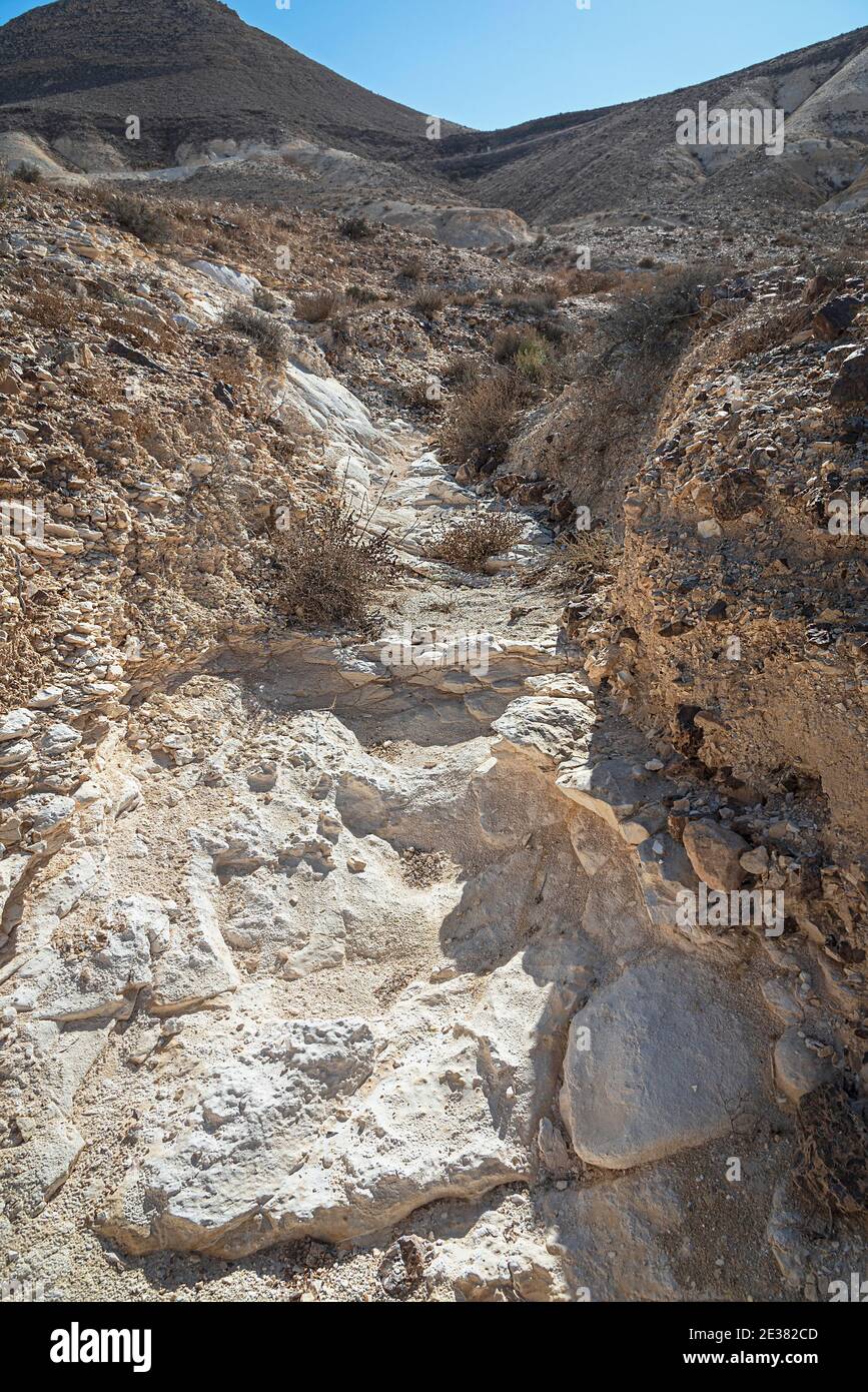 chalk bedrock lines a water channel that is part of the headwaters of the nahal ramon stream at the west end of the makhtesh ramon crater in israel Stock Photo
