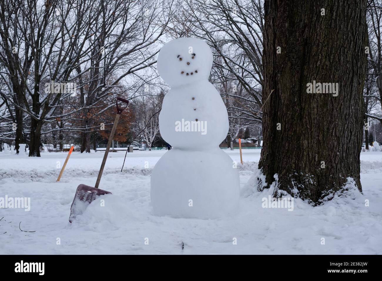 Ottawa, Canada. January 17th, 2021. A traditional snowman with his shovel stands in Commissioners park. Following a snowstorm that left over 25cm on the Canadian Capital, the city turned into a world of snow creatures. Credit: meanderingemu/Alamy Live News Stock Photo
