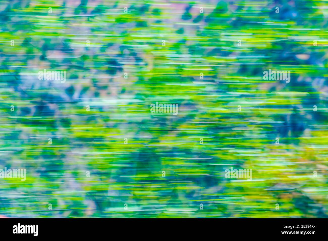 The green forest motion blur background by camera movement. Stock Photo