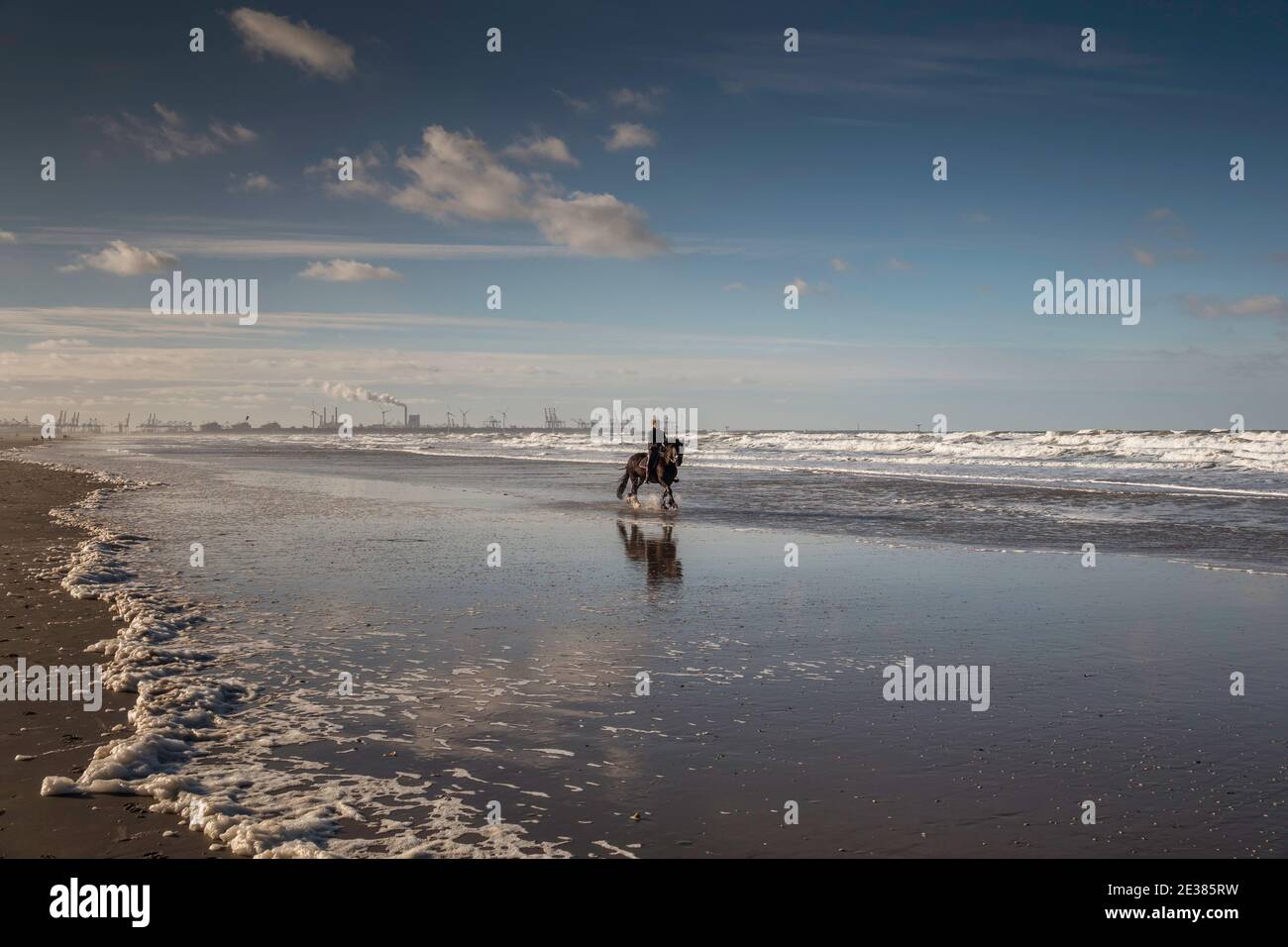 Oostvoorne,Holland,13-jan-2021:woman riding horse on the beach with the europort industry as background Stock Photo