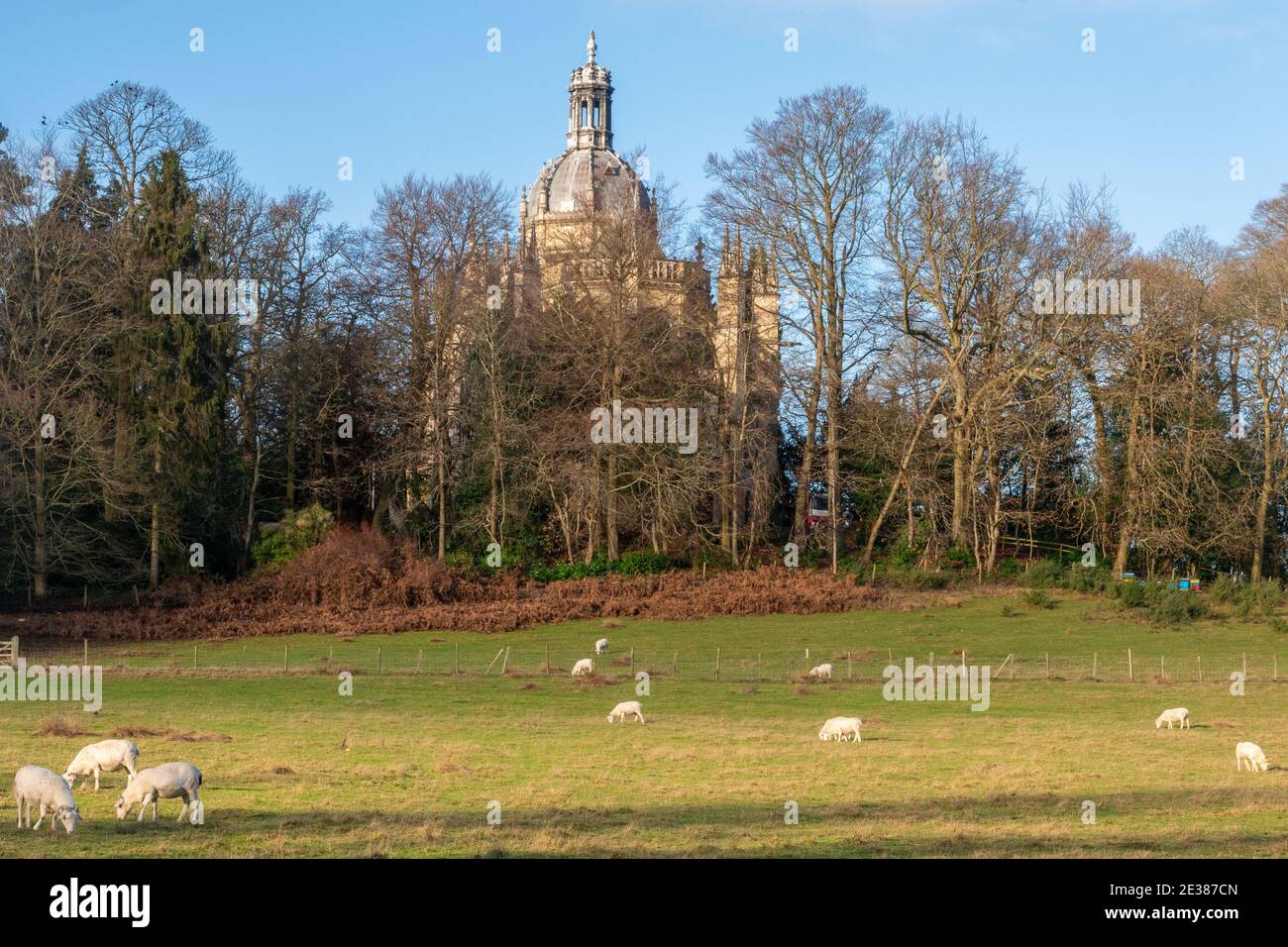 The church at St. Michael's Abbey, a Benedictine monastery in Farnborough, Hampshire, UK, with sheep grazing in a field in the foreground Stock Photo
