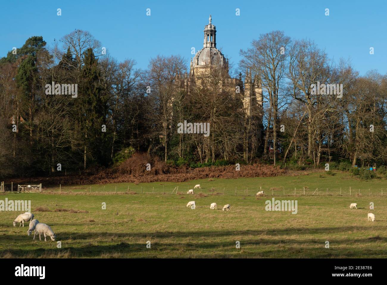 The church at St. Michael's Abbey, a Benedictine monastery in Farnborough, Hampshire, UK, with sheep grazing in a field in the foreground Stock Photo