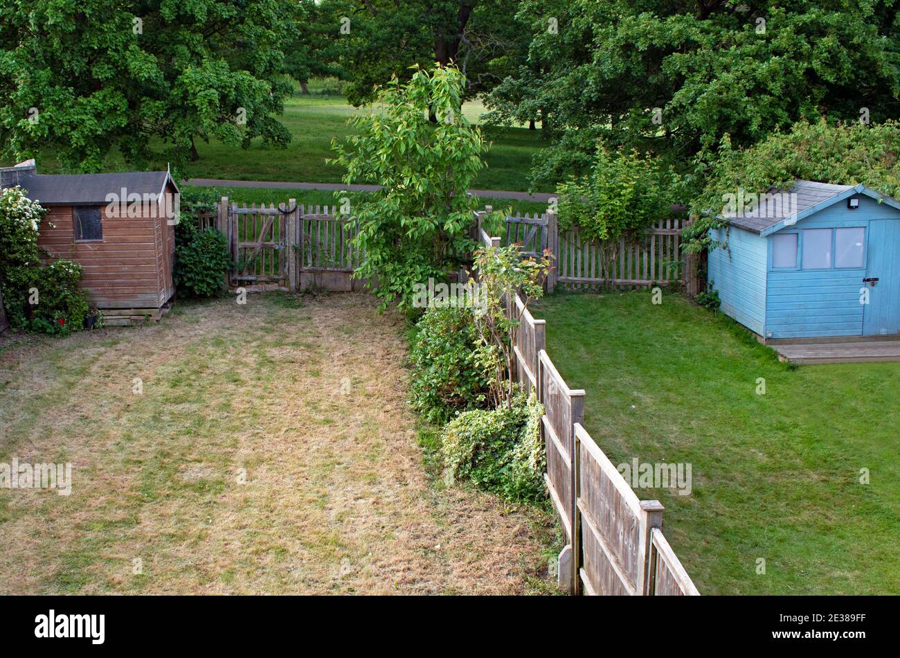 The grass is always greener on the other side - two neighboring gardens, one with fresh and lush green grass, the other with dried out yellow grass Stock Photo