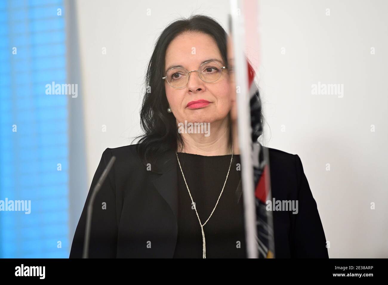 Vienna, Austria. 17th Jan, 2021. Federal government press conference. Further details on the corona measures. The picture shows State Secretary Andrea Mayer. Stock Photo