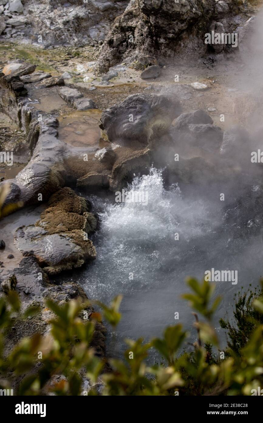 Hot spring area in Furnas, Sao Miguel island, Azores. Stock Photo