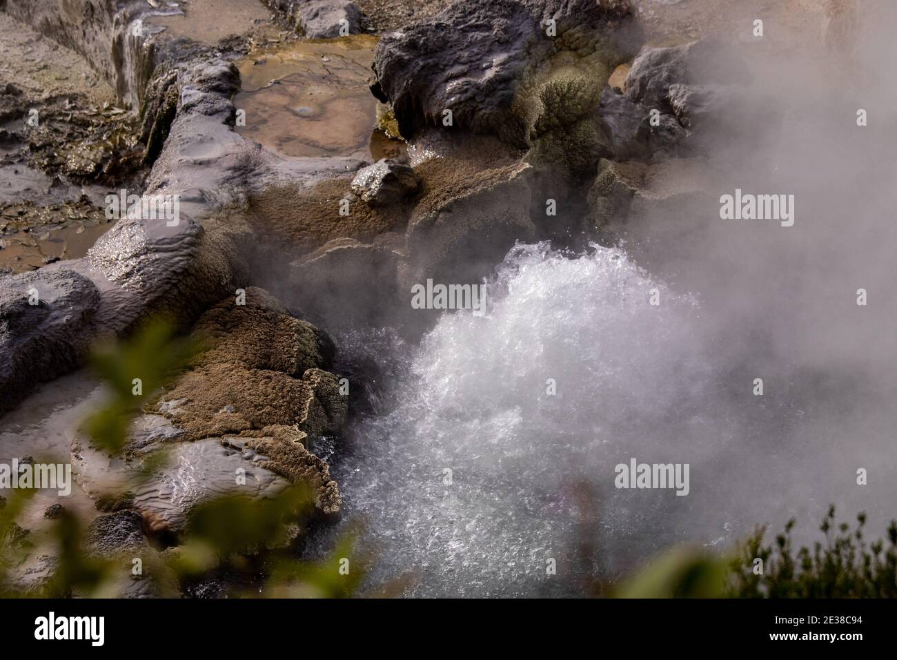 Hot spring area in Furnas, Sao Miguel island, Azores. Stock Photo