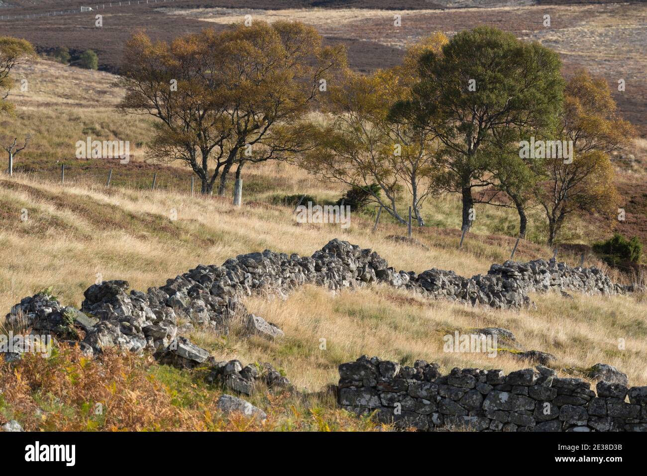 Dry Stone Walling at the Top of Glen Feardar in the Scottish Highlands in Autumn Stock Photo
