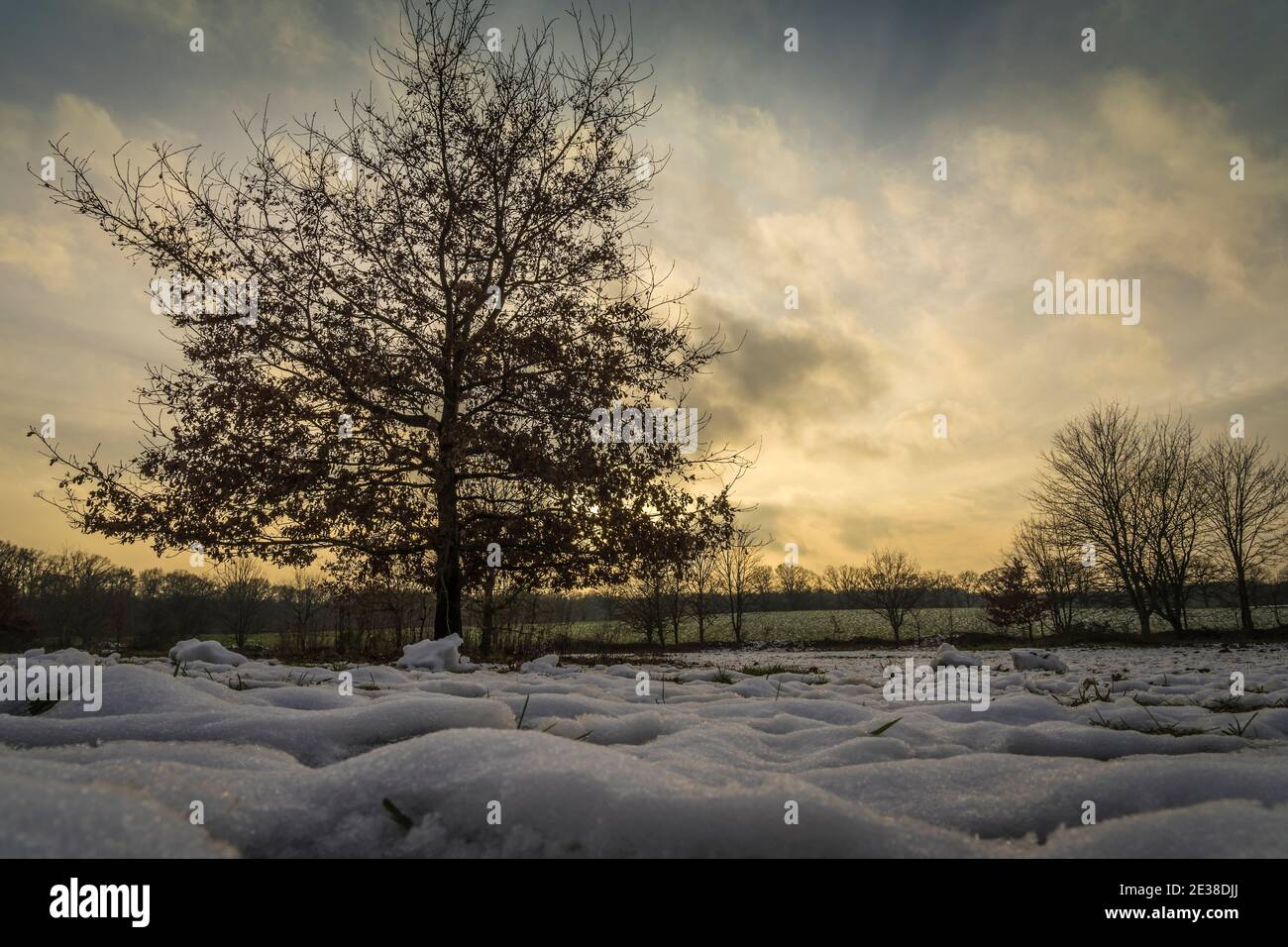 evening sky over a snowy field Stock Photo