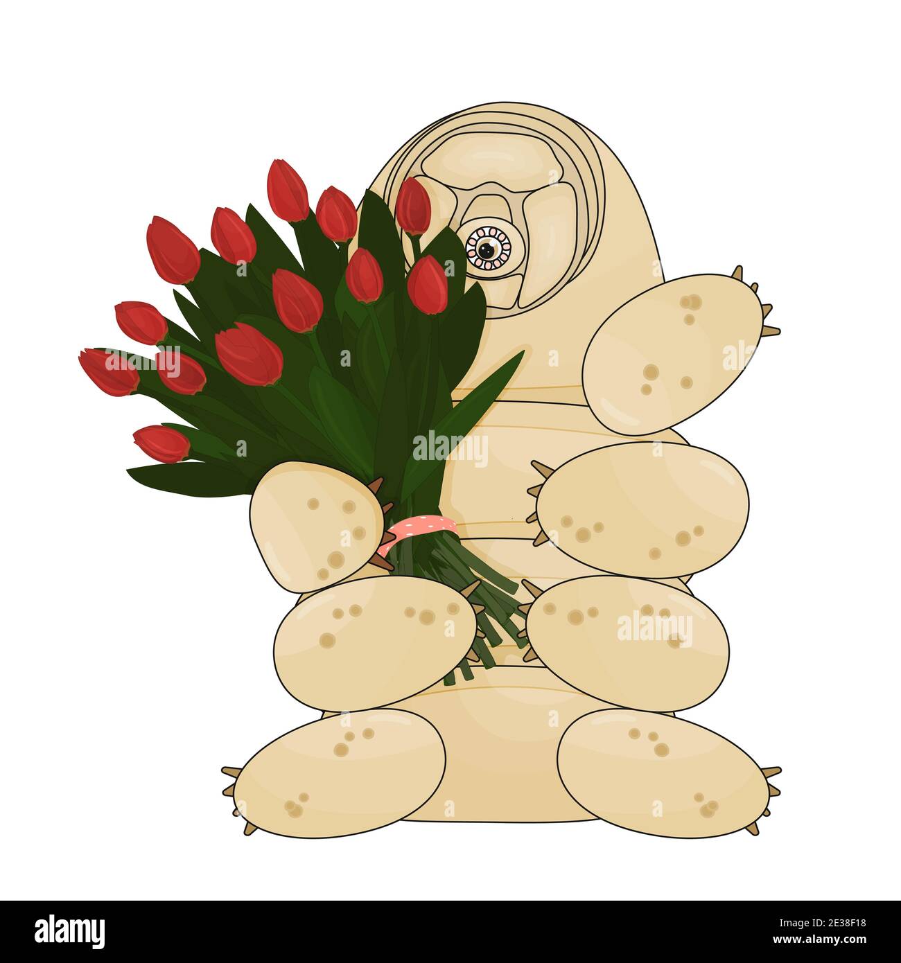 The beige cute tardigrade holds a bouquet of red tulips, which consists of thirteen flowers. Gift is tied with pink polka dot ribbon. Animal is isolat Stock Vector
