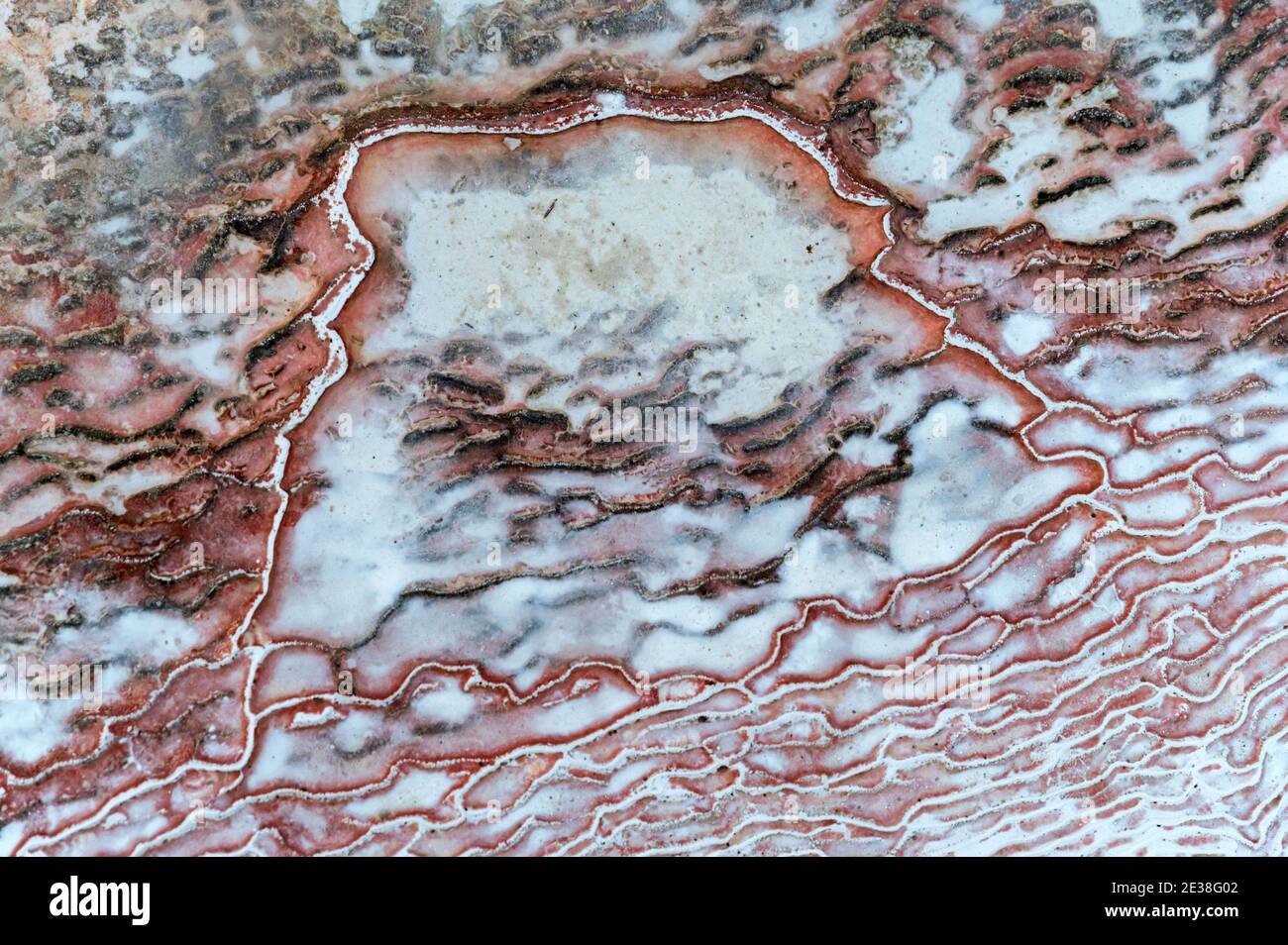 Beautiful macro pool in pamukkale hi-res stock photography and images ...