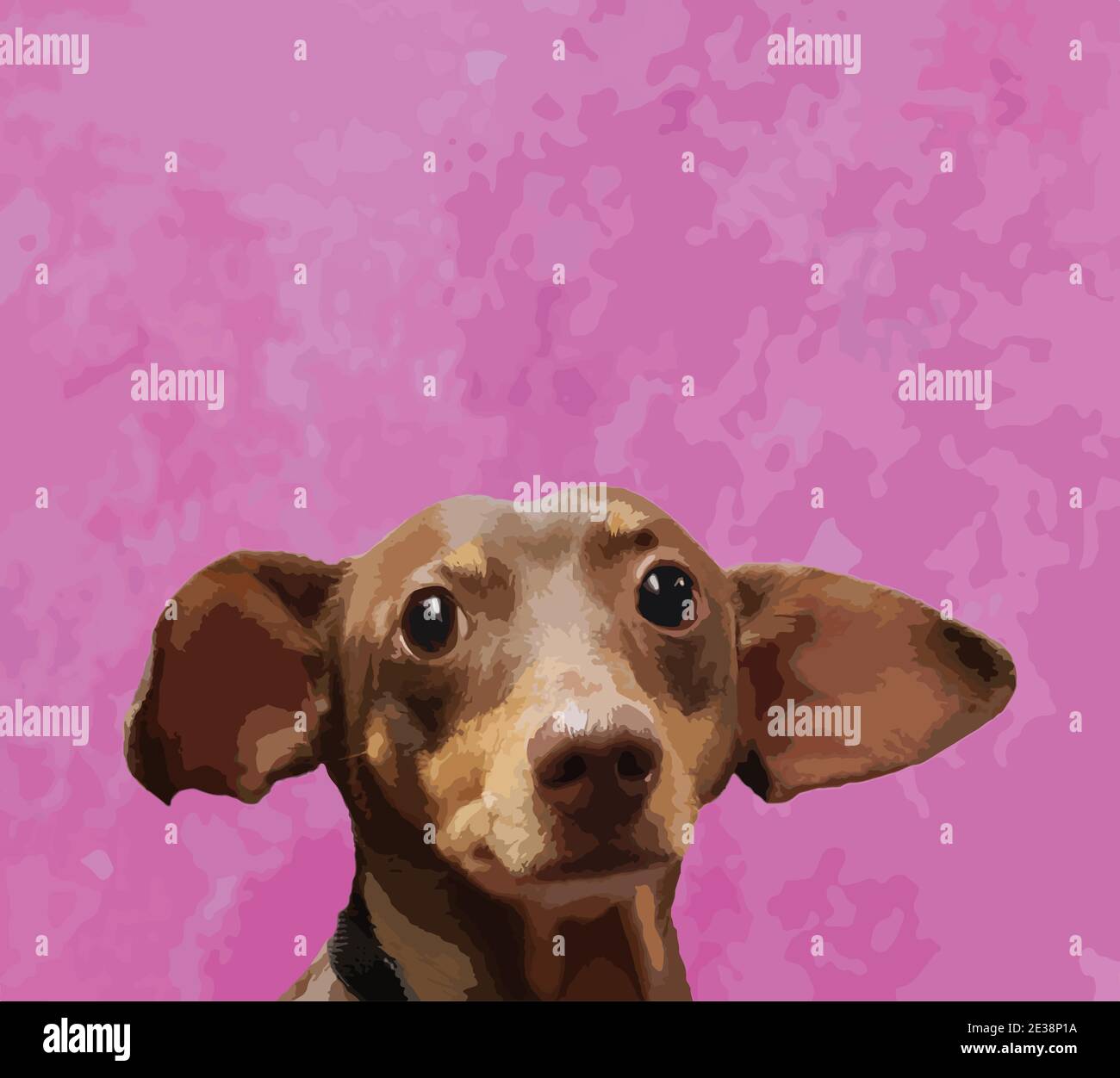 Happy smiling dachshund dog on a pink and purple background. Stock Vector