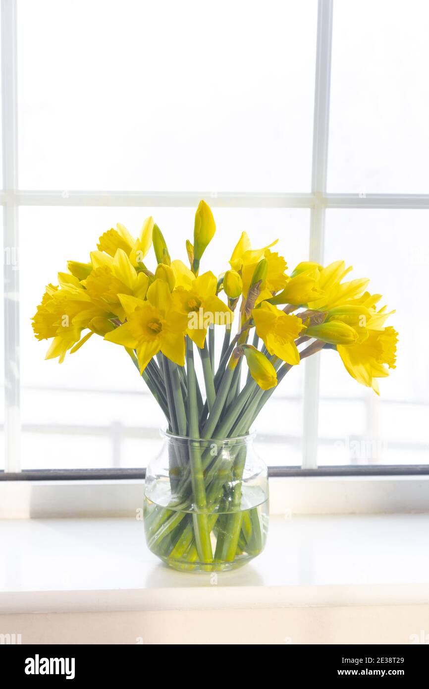 A vase of yellow daffodils on a window sill Stock Photo - Alamy