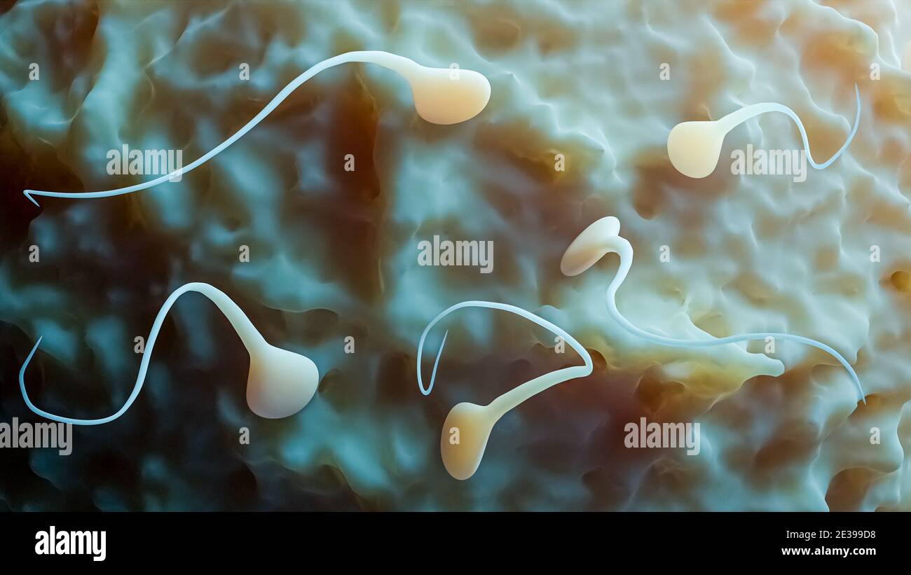 Close-up of a group of sperm cells and ovum or gametes 3D rendering ...