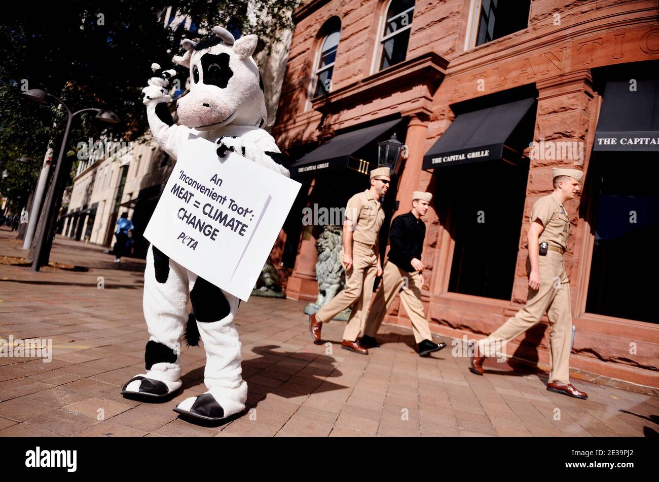 People for the Ethical Treatment of Animals (PETA) holds a protest in front of a . steak house in Washington, DC, USA on October 22 2010. A . report determined that raising People for the Ethical Treatment of Animals (PETA) holds a protest in front of a . steak house in Washington, DC, USA on October 22 2010. A . report determined that raising