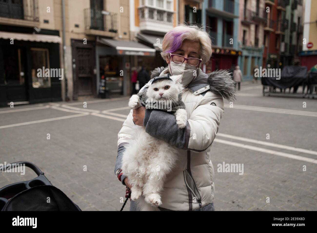 cat dressed as old lady Old Lady Wig Costume for Cat Kitten, Small Toy Breed Dog, Puppy Costume,  Ferret Clothes, Bunny Wig, Turtle Hat, Chicken Costume,