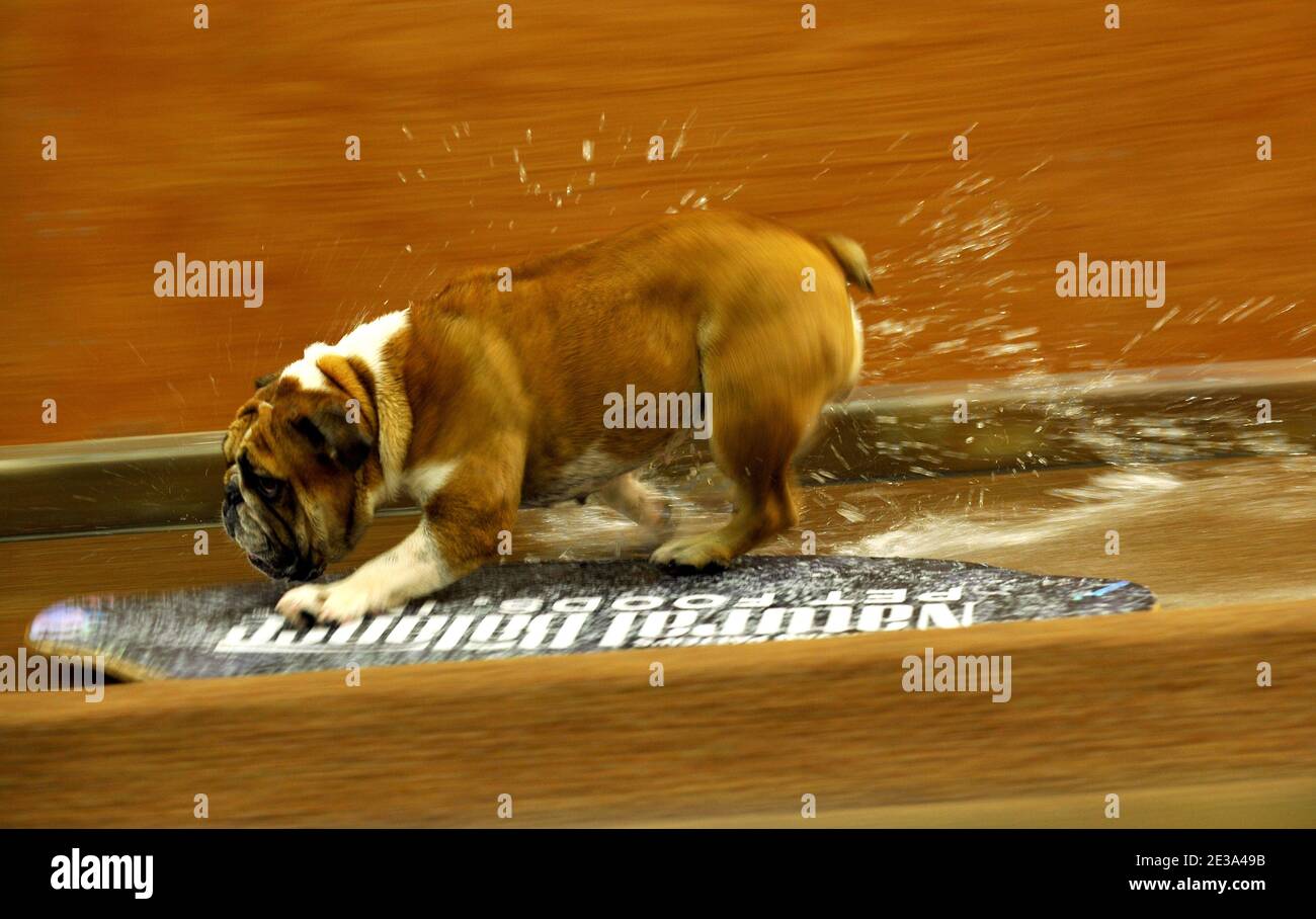 Hahn parade float hi-res stock photography and images - Alamy