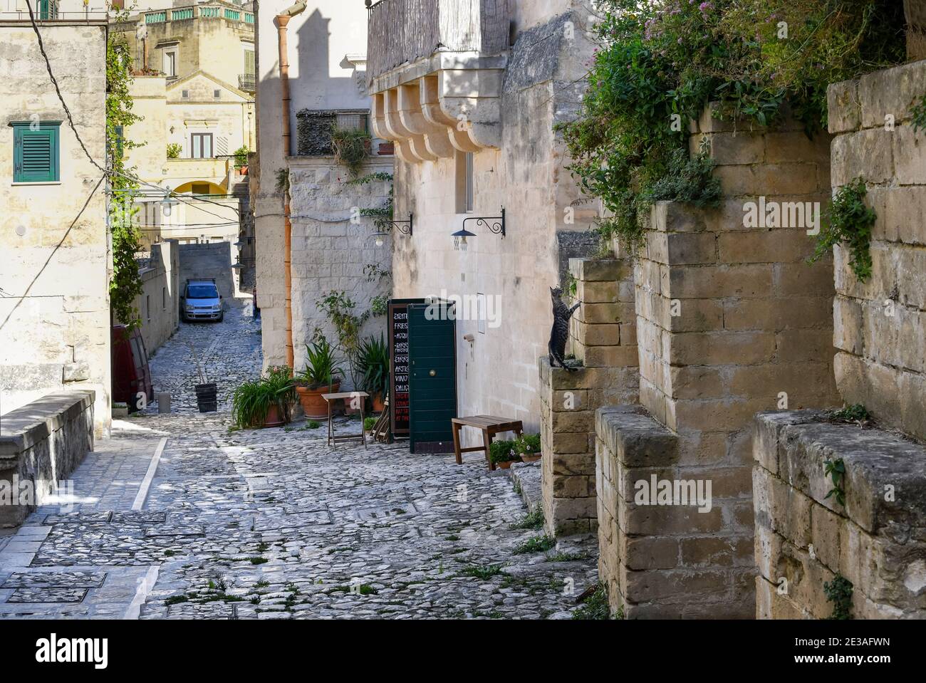 A silver striped tabby stands on his hind legs on a ledge on a cobbled street in the ancient sassi town of Matera, Italy. Stock Photo