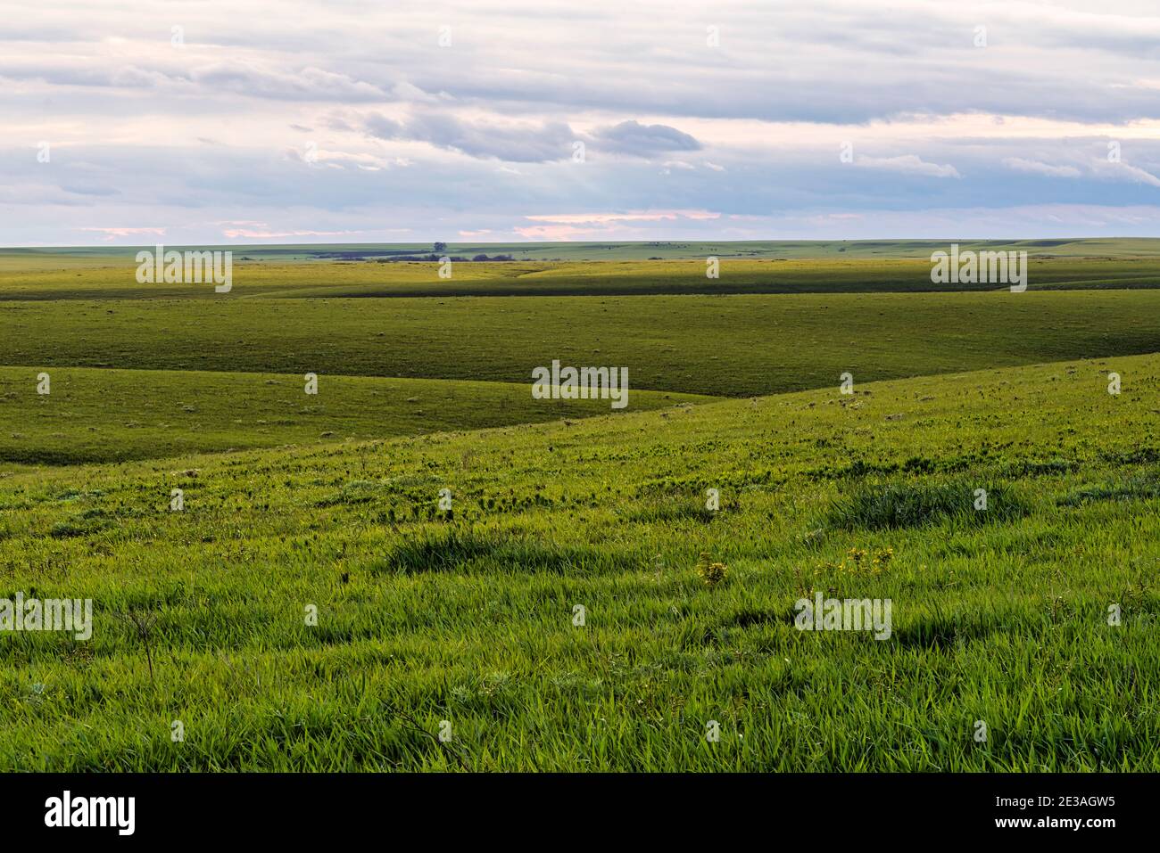 Green pasture land in the Flint Hills of Kansas Stock Photo Alamy