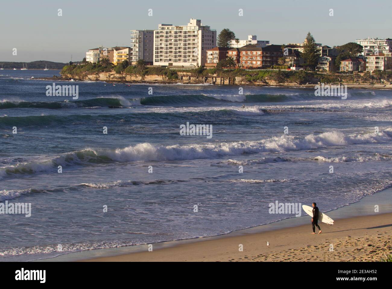 Early morning surfer at Cronulla Sutherland Shire Sydney New South Wales Australia Stock Photo