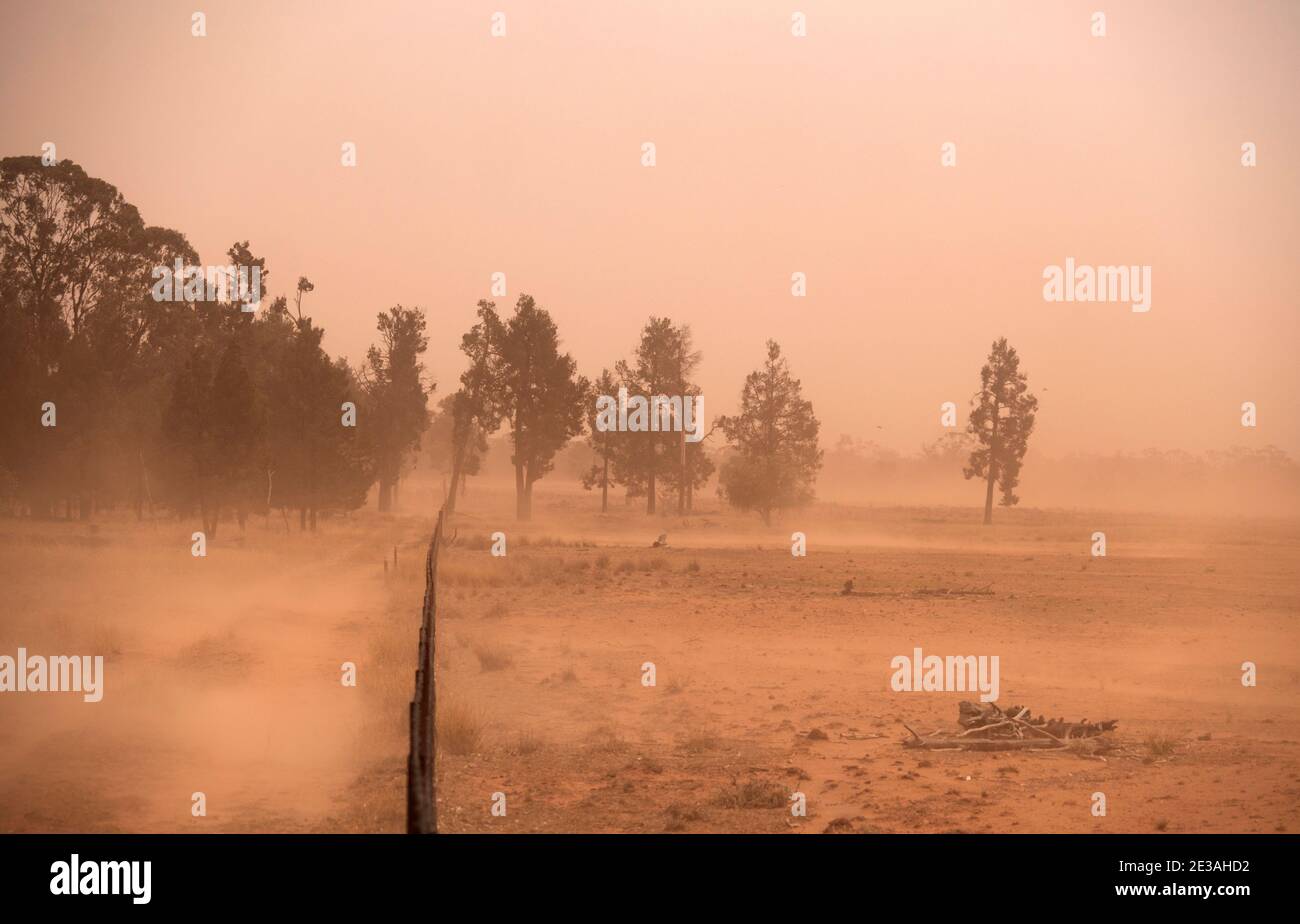 Dust storm driven by strong wind in drought striken Central West New South Wales, Australia. Stock Photo
