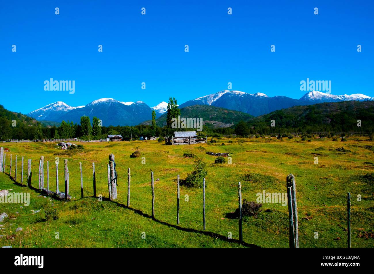 Green Pasture in the Patagonia Andes Stock Photo