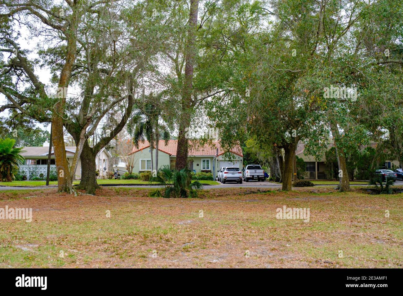 Gentrified homes from Henry & Ola Park - Seminole Heights Neighborhood, Tampa, Florida Stock Photo