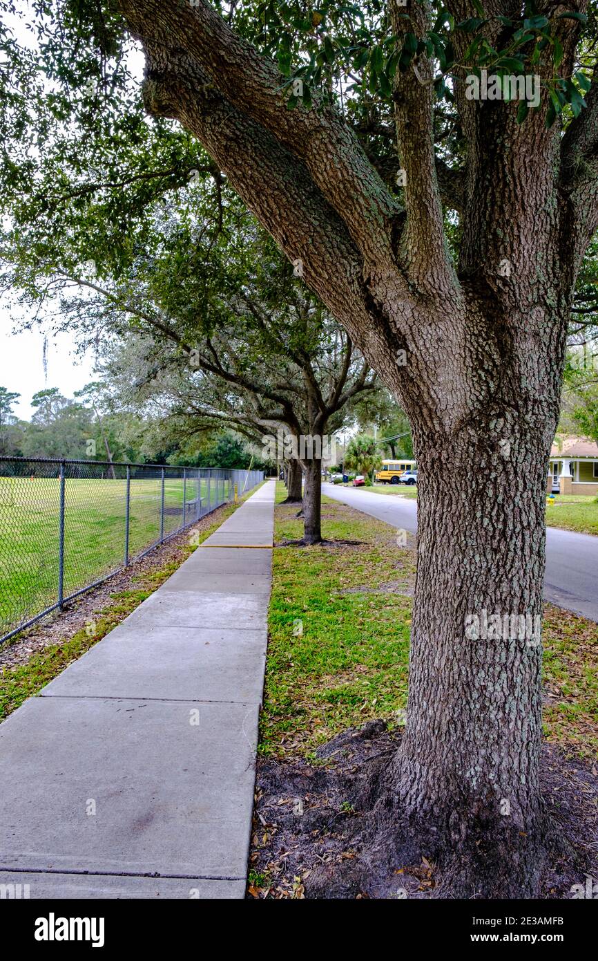 Henry & Ola Park by Seminole Heights Neighborhood, Tampa, Florida Stock Photo