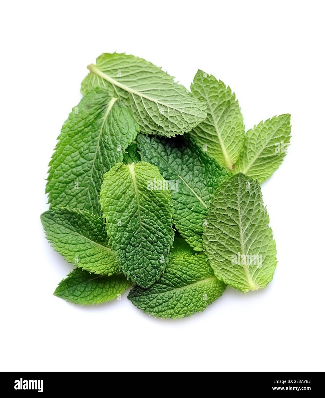Frsh leaves mint isolated on white backgrounds. Stock Photo
