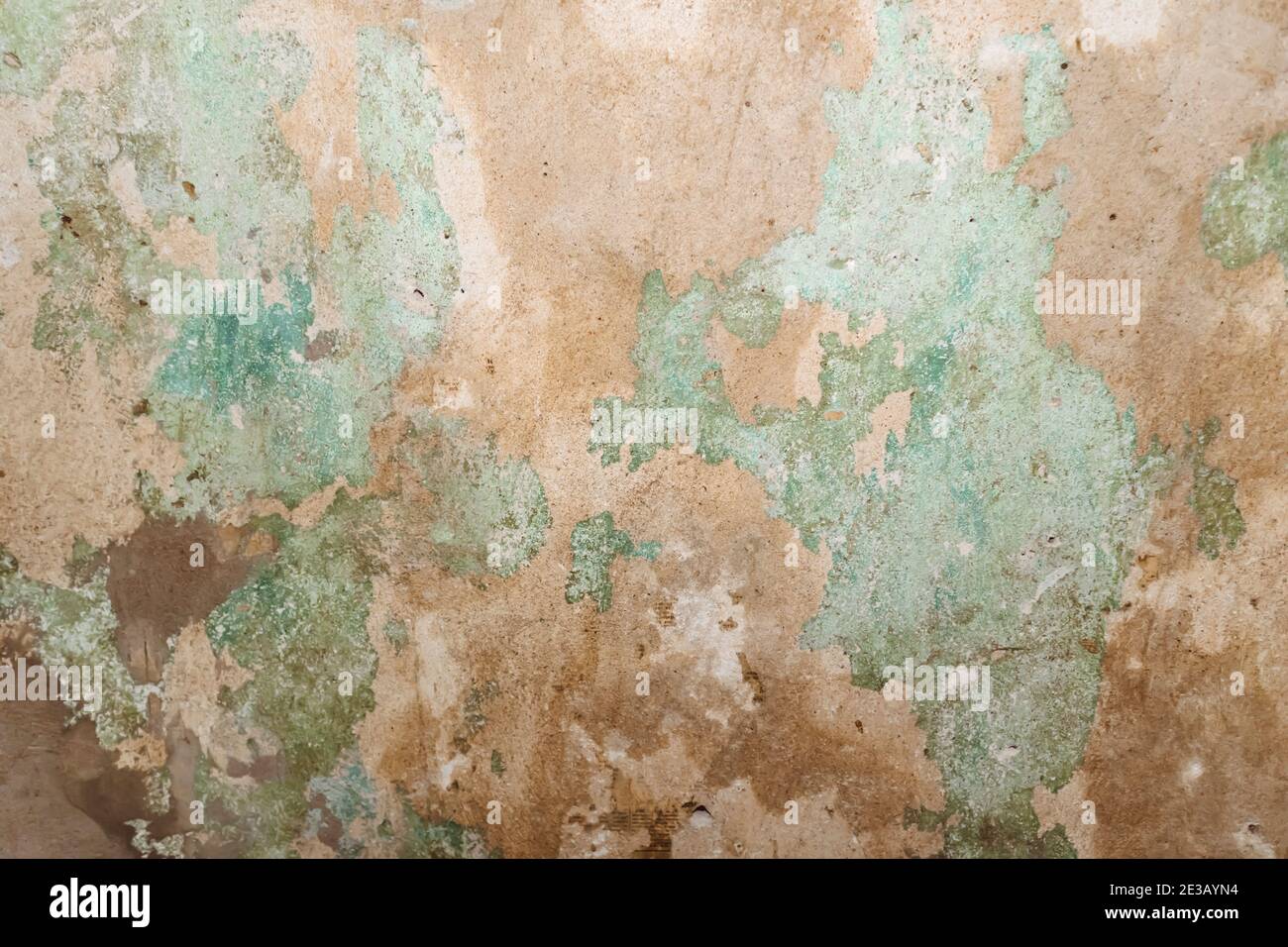 texture of old plaster wall old wallpaper restoration dirty green Stock ...