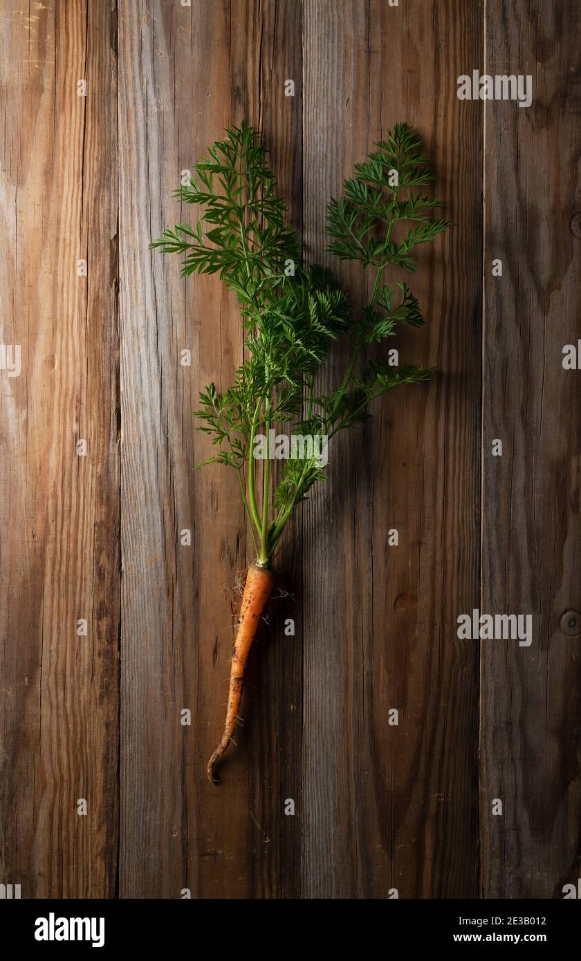 Freshly picked carrots placed in the wooden background Stock Photo