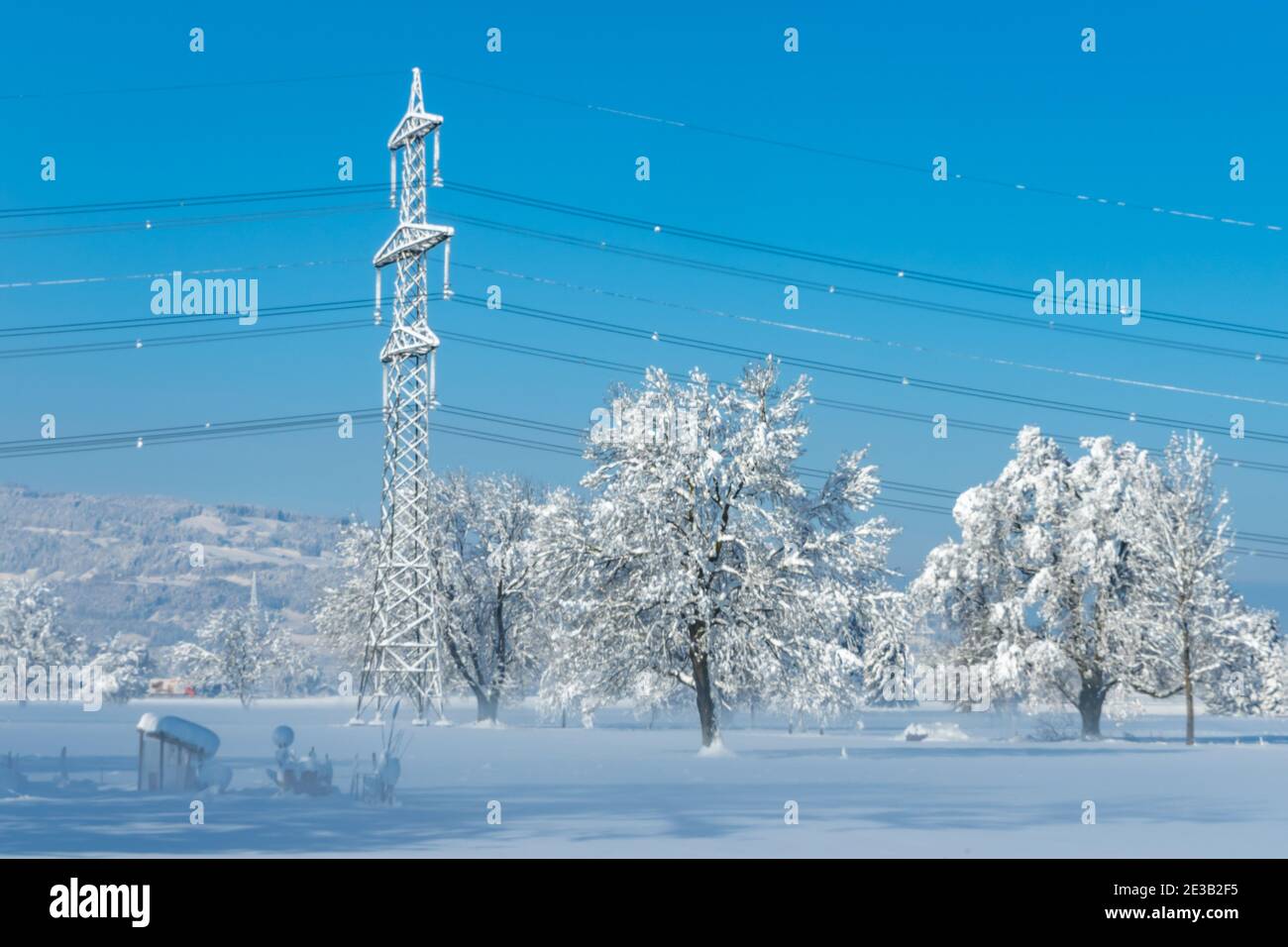 Winter, verschneite Bäume und Hochspannungsleitung im Rheintal.  snow-covered trees, high voltage line in the Rhine valley. snowy field, morning light Stock Photo