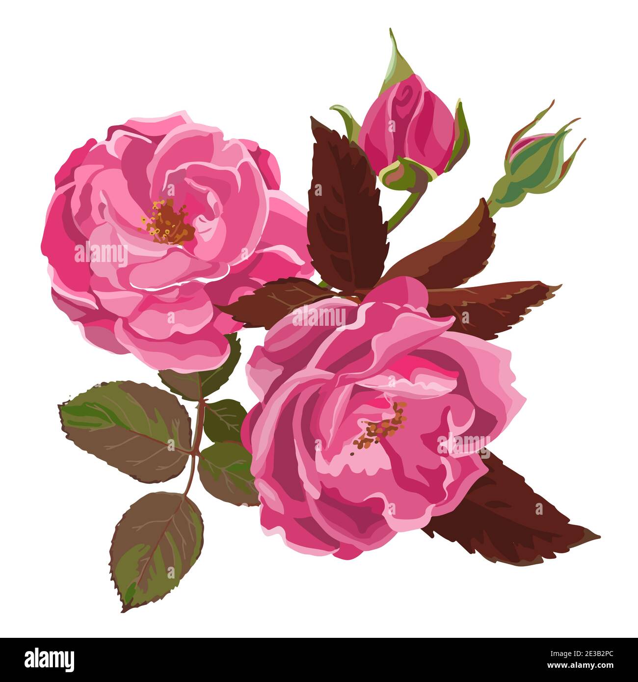 Rose bush container Stock Vector Images - Alamy