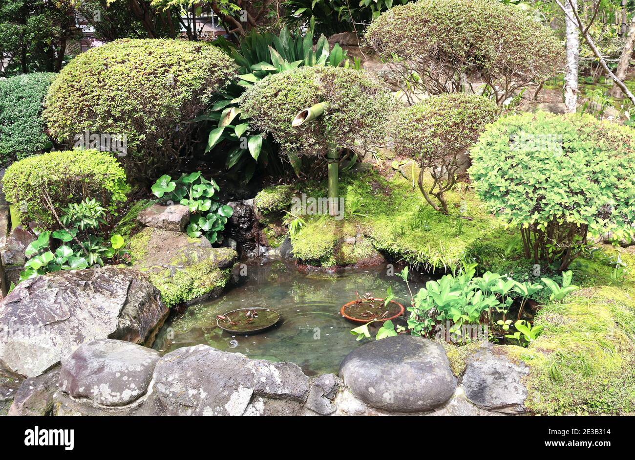Decorative pond in Hasedera (Hase-dera) temple, Kamakura, Japan Stock Photo