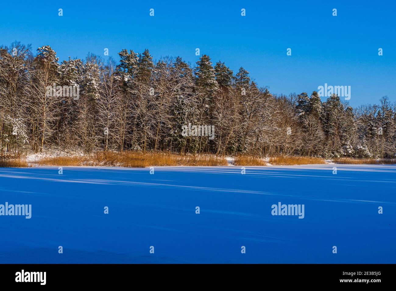Beautiful snowy forest rises hi-res stock photography and images - Alamy