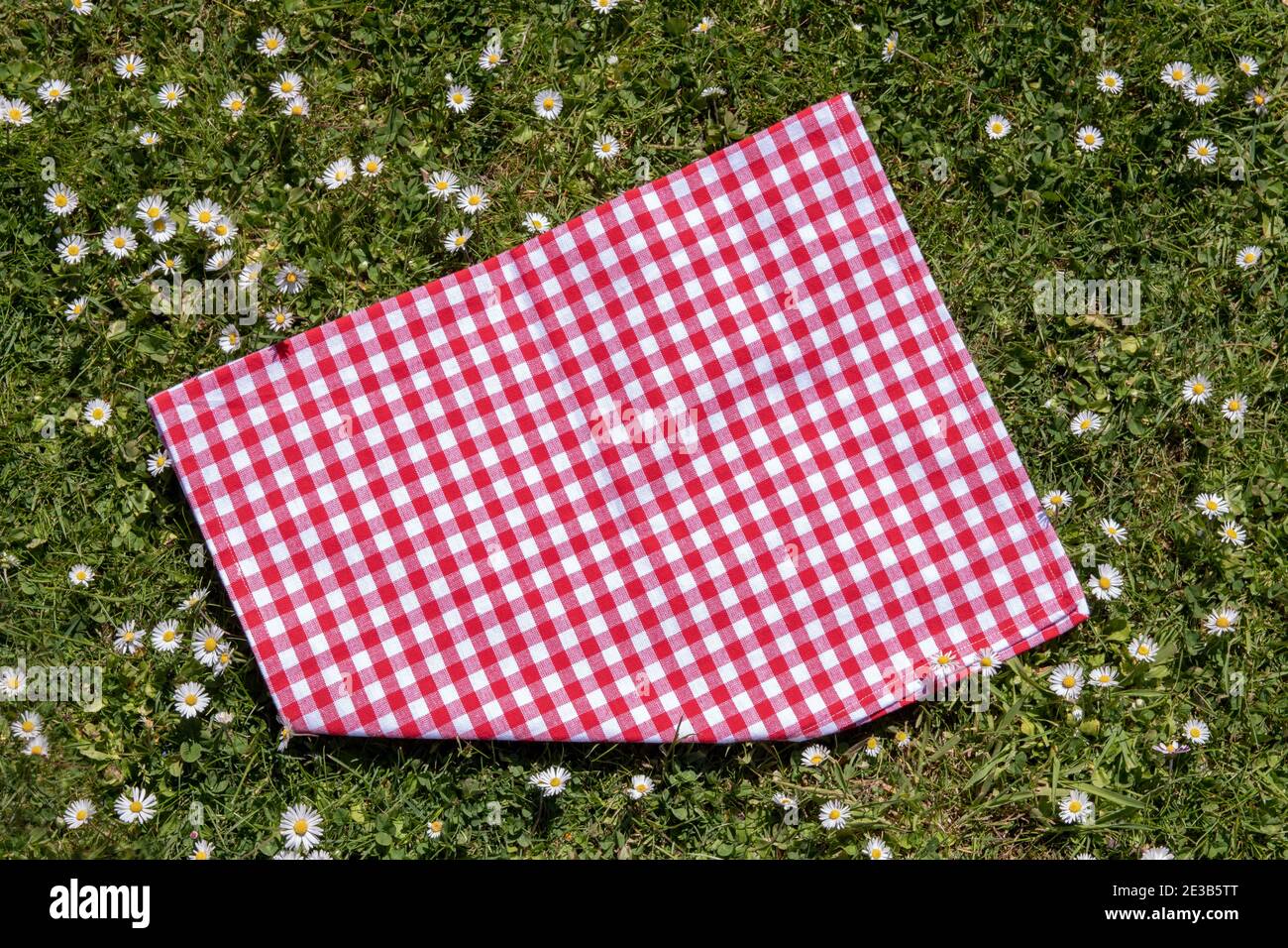 Red picnic tablecloth. Red checkered picnic blanket on a meadow with daisies in bloom. Beautiful