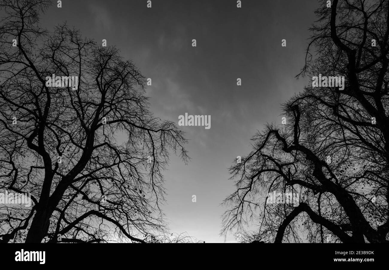 Beautiful sunset in evening Black and White Stock Photos & Images - Alamy