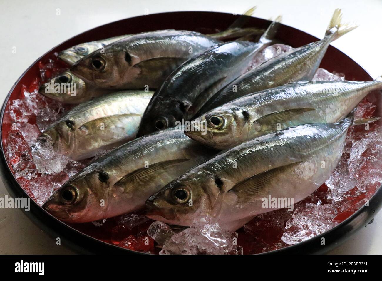Sashimi of Common Horse Mackerel in Hagi, Yamaguchi Prefecture, Japan