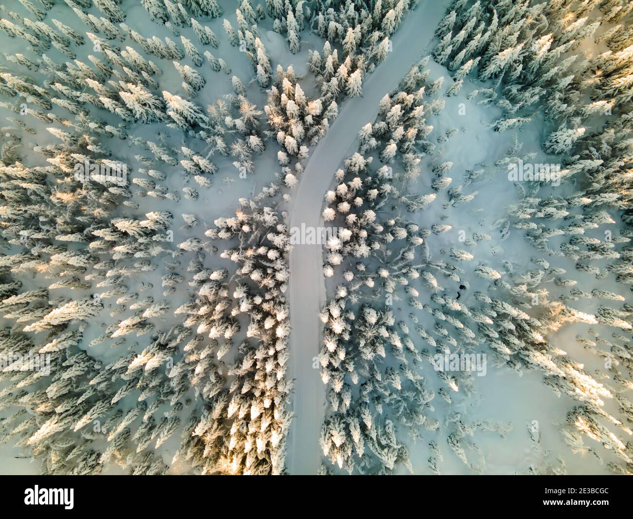 Aerial photo of boreal forest hi-res stock photography and images - Alamy
