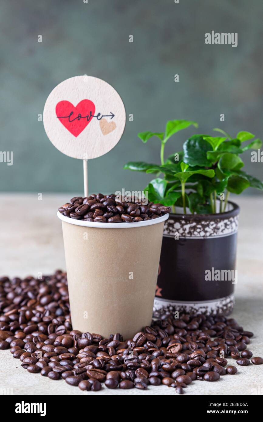Takeaway coffee cup, coffee tree in a pot and roasted coffee beans with ...