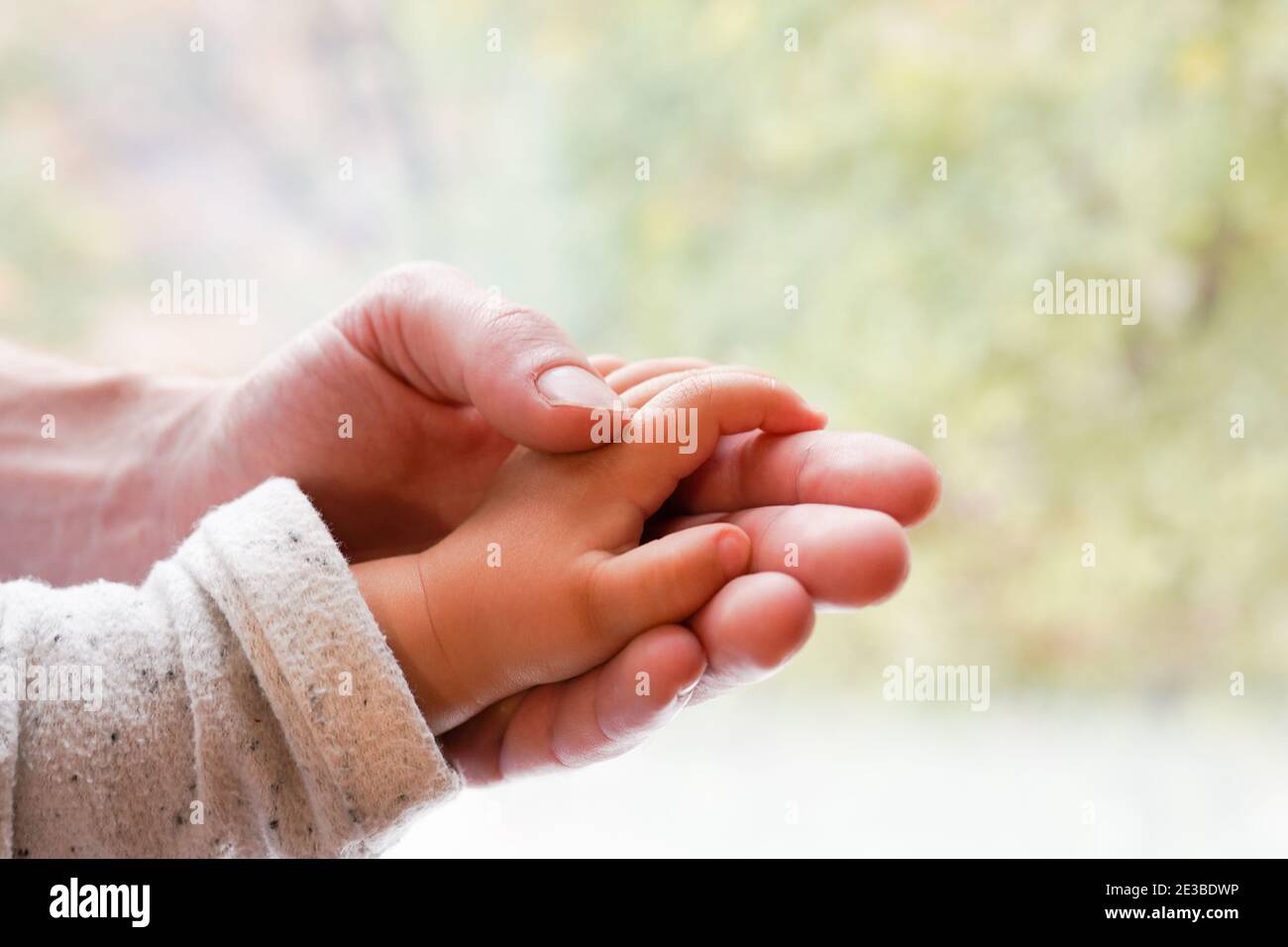Close up father hand holding baby hand, background banner happy family father s day concept ...